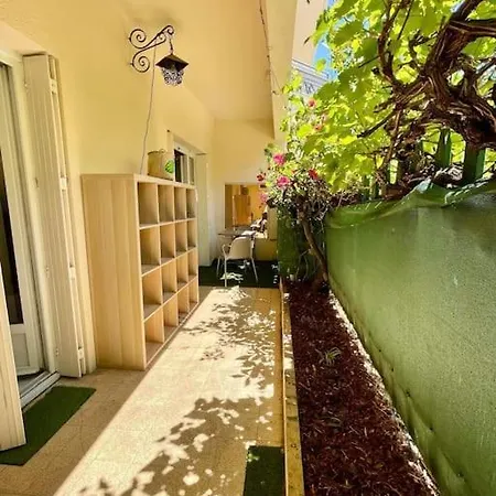 F1 Terrasse Ombragee Apartment *
